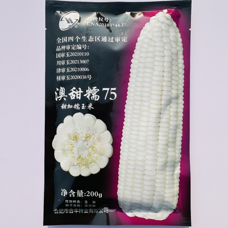 澳甜糯75玉米种子甜糯大棒矮杆鲜食甜加糯玉米种子粘糯香甜