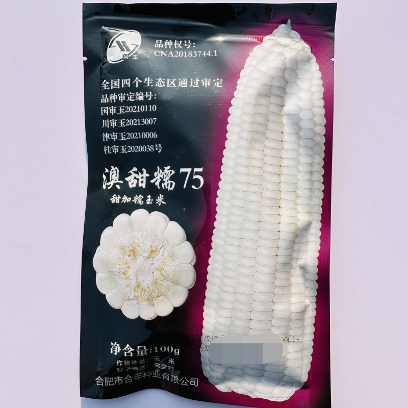 澳甜糯75玉米种子甜糯大棒矮杆鲜食甜加糯玉米种子粘糯香甜