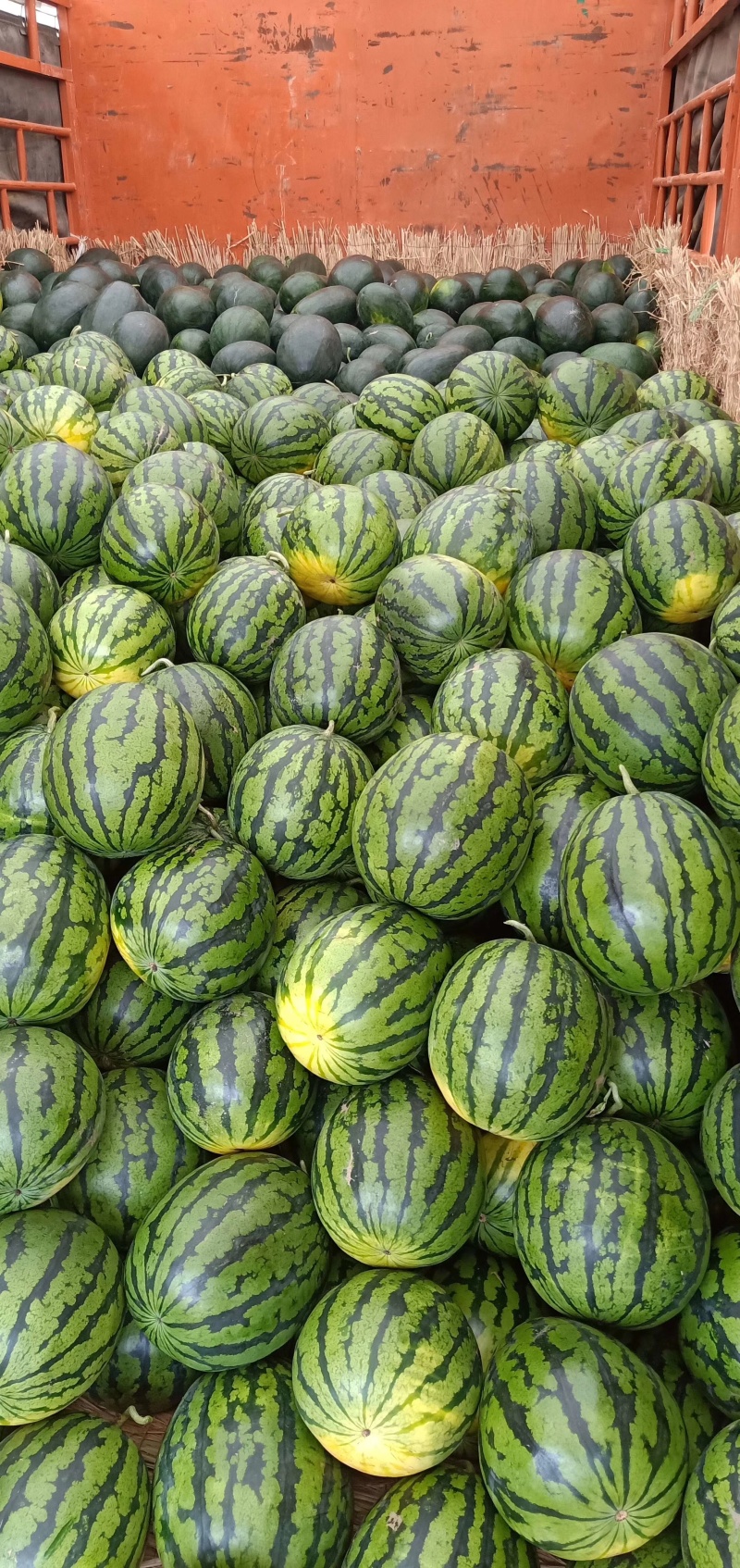 【推荐】西瓜🍉精品通货都有产地直发有需要联系