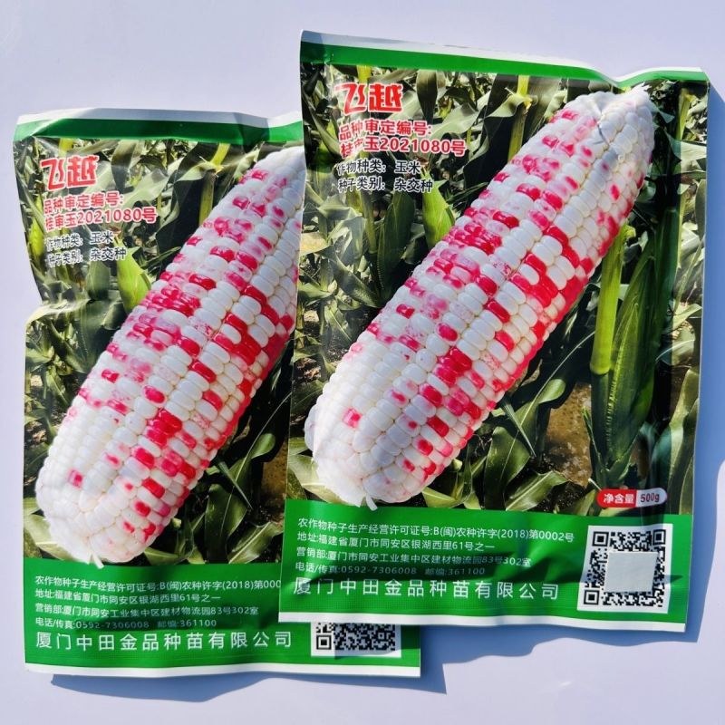 中田金品飞越彩甜糯玉米种子大棒甜糯鲜食彩玉米种子香甜软糯