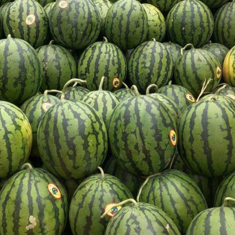 【推荐】西瓜🍉精品通货都有产地直发有需要联系
