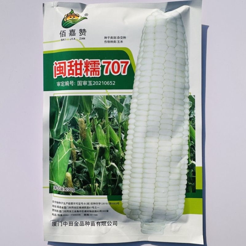 闽甜糯707甜糯玉米种子矮杆早熟大棒鲜食糯玉米种子春秋