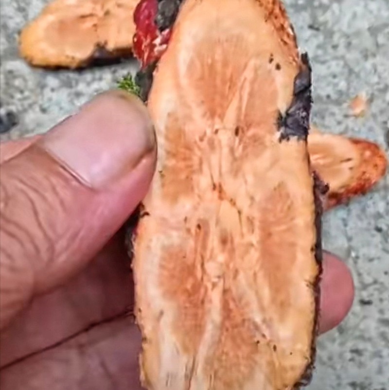 龙须藤纯野生无硫干货量大从优基地直发对接全国