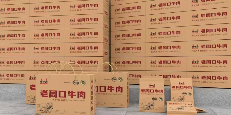 赛俩牛肉礼盒河南周口卤味五香牛腱子肉即食特产零食牛肉熟食