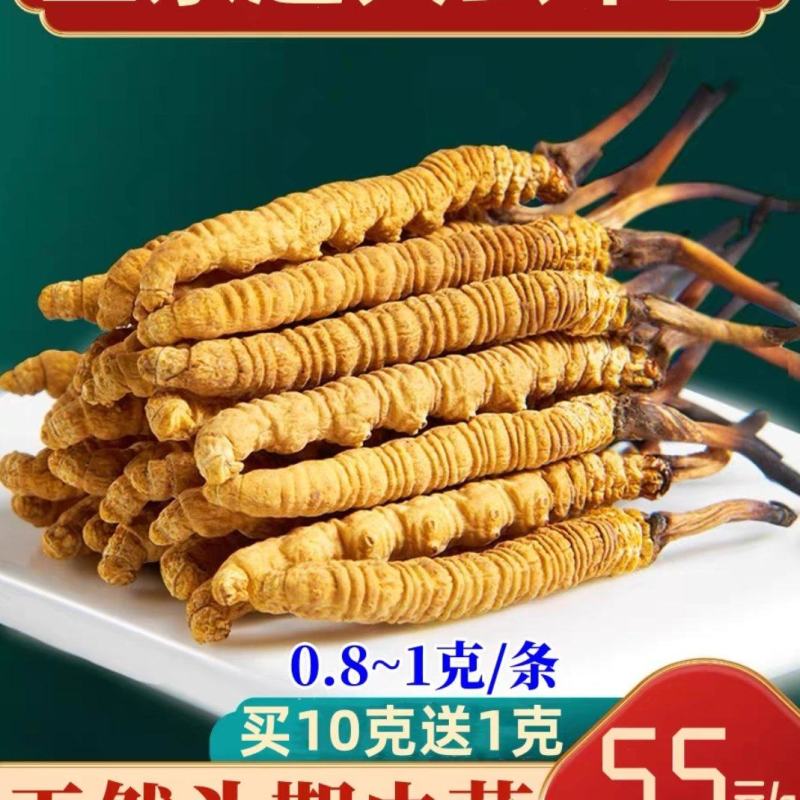 冬草夏草