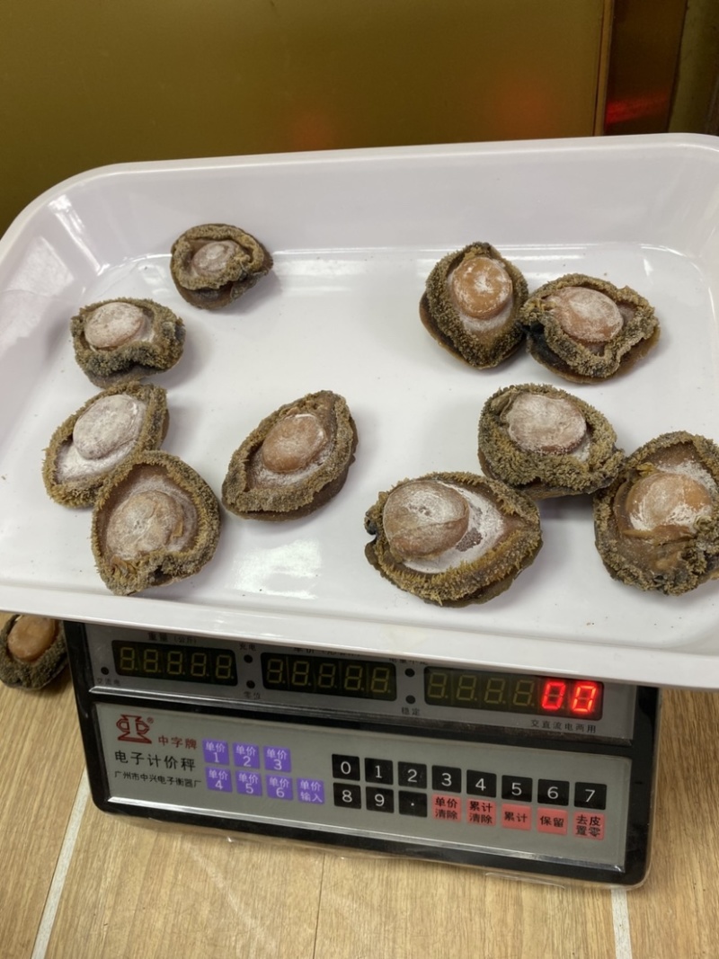 南非鲍鱼青鲍鱼溏心陈年老鲍批发价送礼鲍鱼