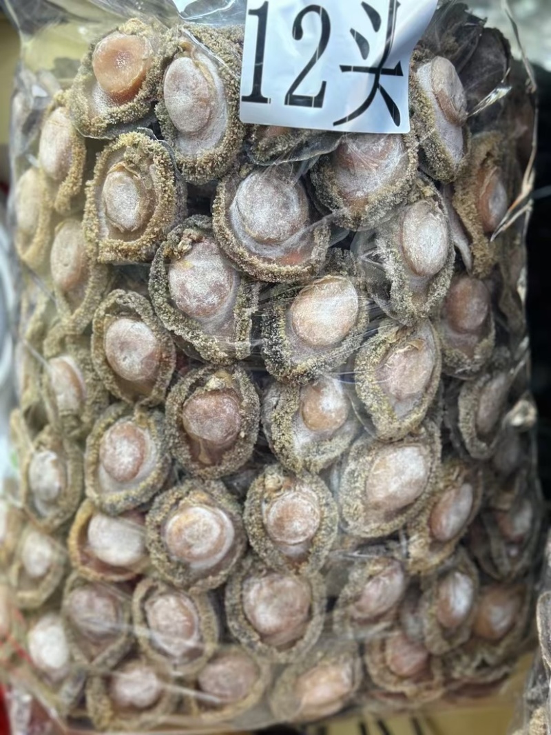 南非鲍鱼青鲍鱼溏心陈年老鲍批发价送礼鲍鱼