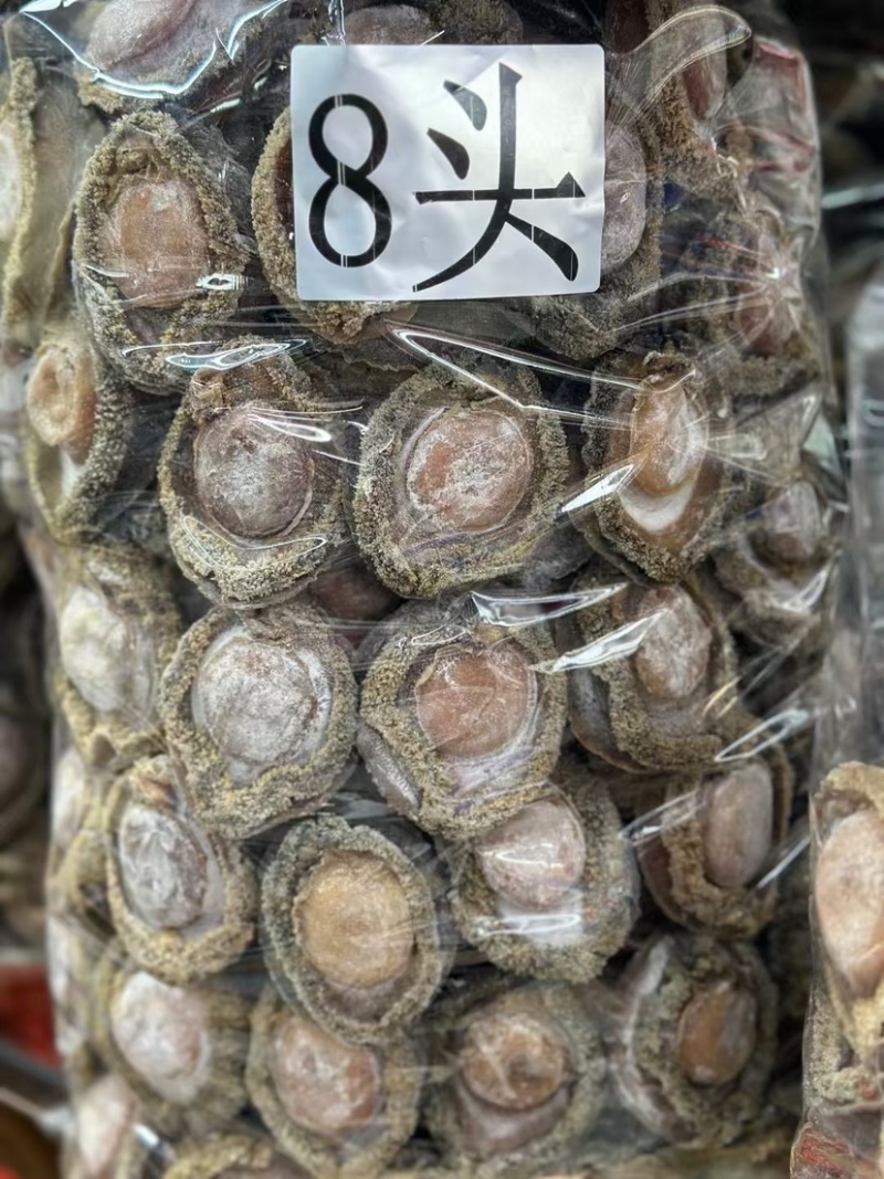 南非鲍鱼青鲍鱼溏心陈年老鲍批发价送礼鲍鱼