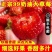 大凉山红颜草莓一件代发品质保障坏果包赔欢迎咨询