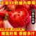 大凉山红颜草莓一件代发品质保障坏果包赔欢迎咨询