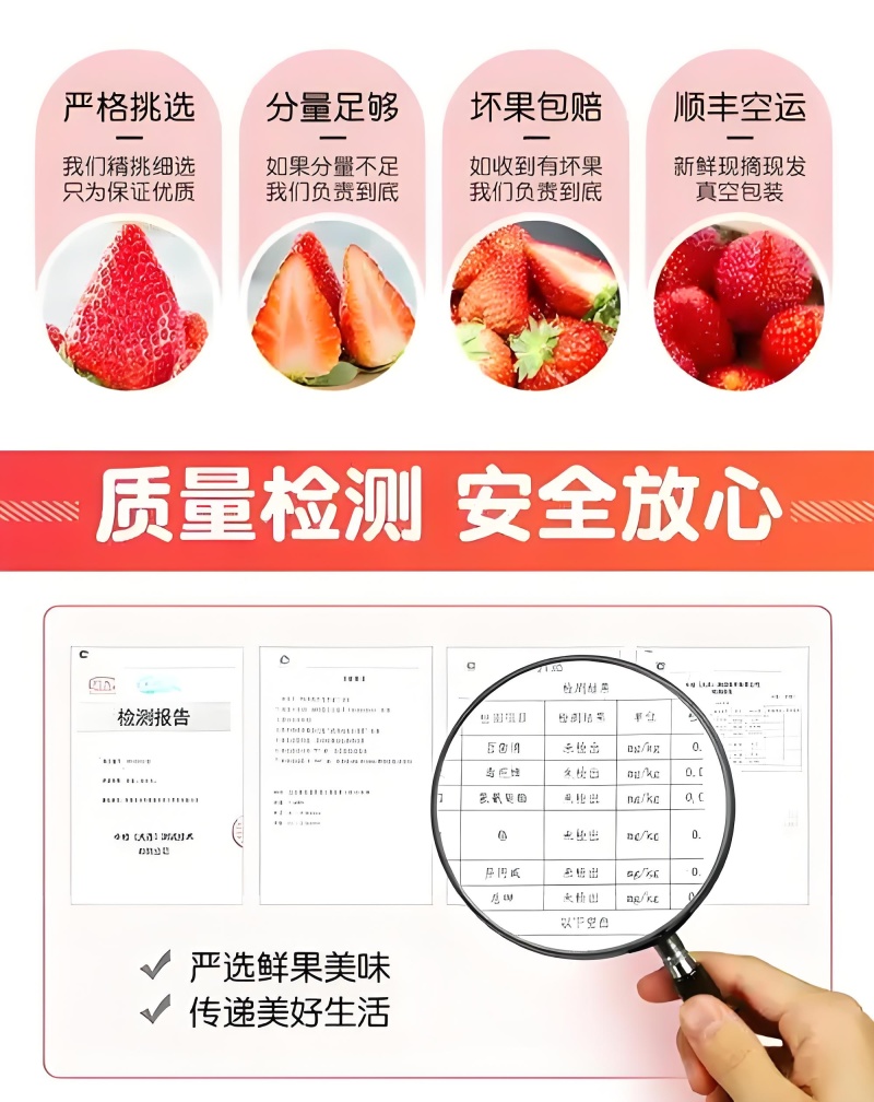 大凉山红颜草莓一件代发品质保障坏果包赔欢迎咨询