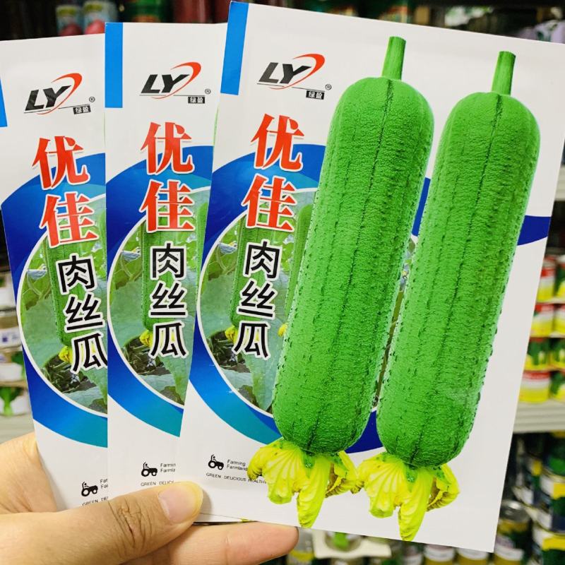 优佳肉丝瓜种子杂交一代新品种早熟耐热耐湿肉丝瓜种籽