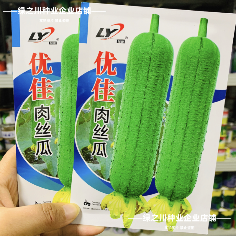 优佳肉丝瓜种子杂交一代新品种早熟耐热耐湿肉丝瓜种籽
