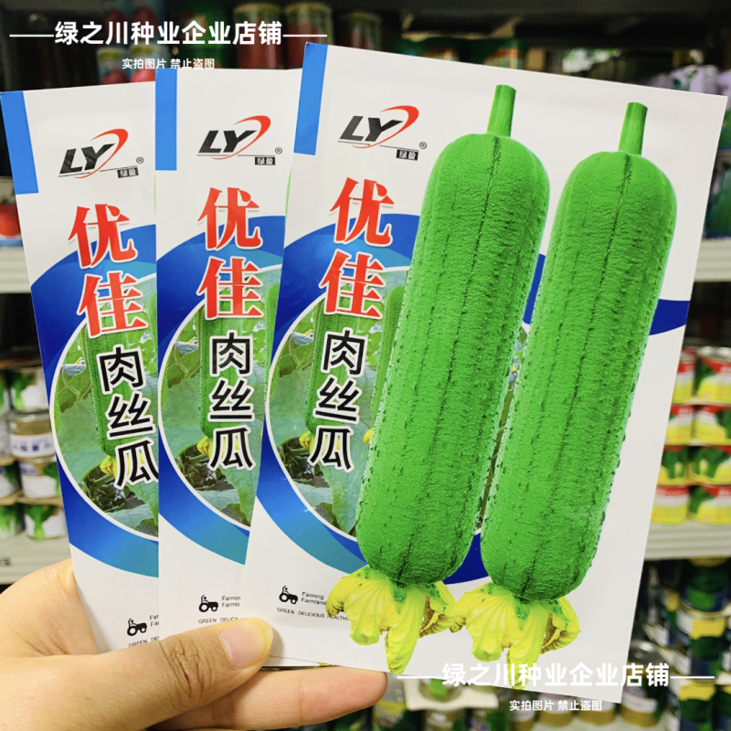 优佳肉丝瓜种子杂交一代新品种早熟耐热耐湿肉丝瓜种籽