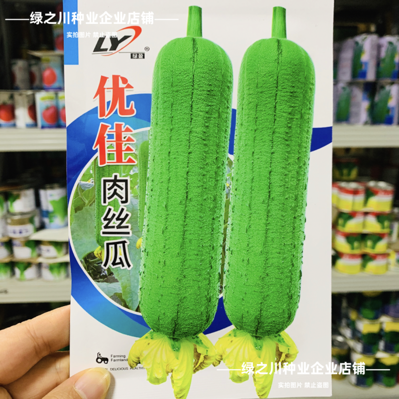 优佳肉丝瓜种子杂交一代新品种早熟耐热耐湿肉丝瓜种籽