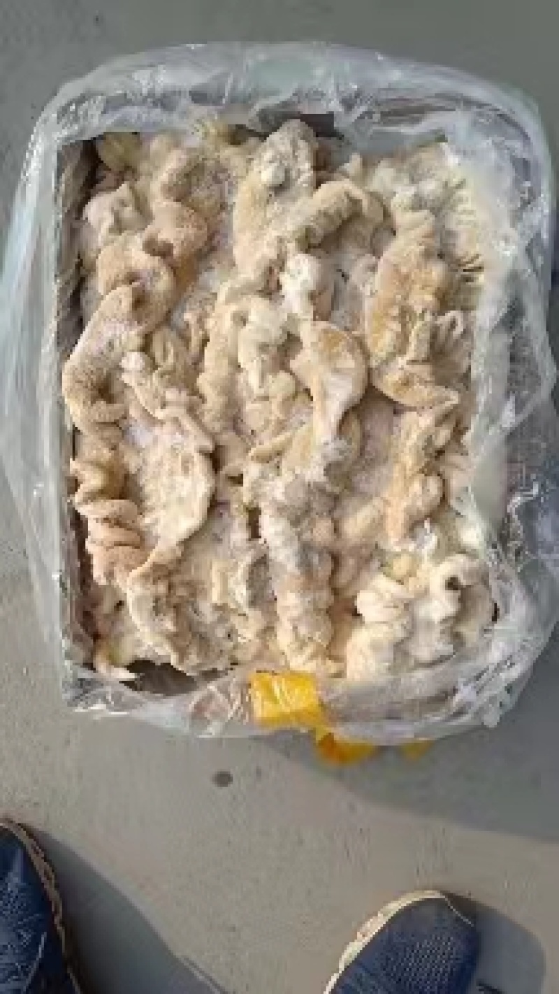 猪大肠，预煮猪大肠，量大从优，欢迎各位光临！