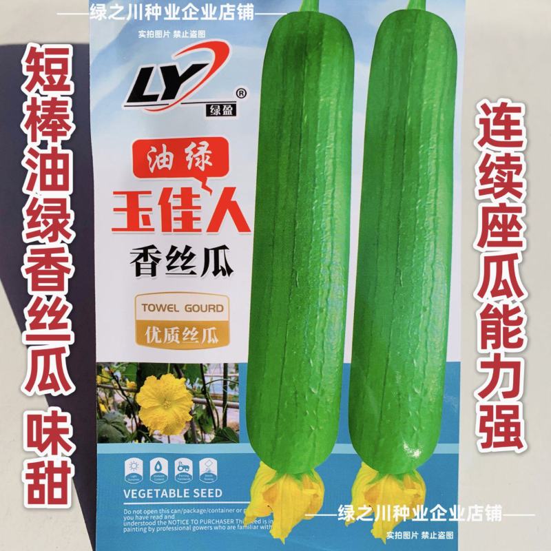玉佳人丝瓜种子高产短棒油亮香丝瓜种子油绿杂交早熟油皮