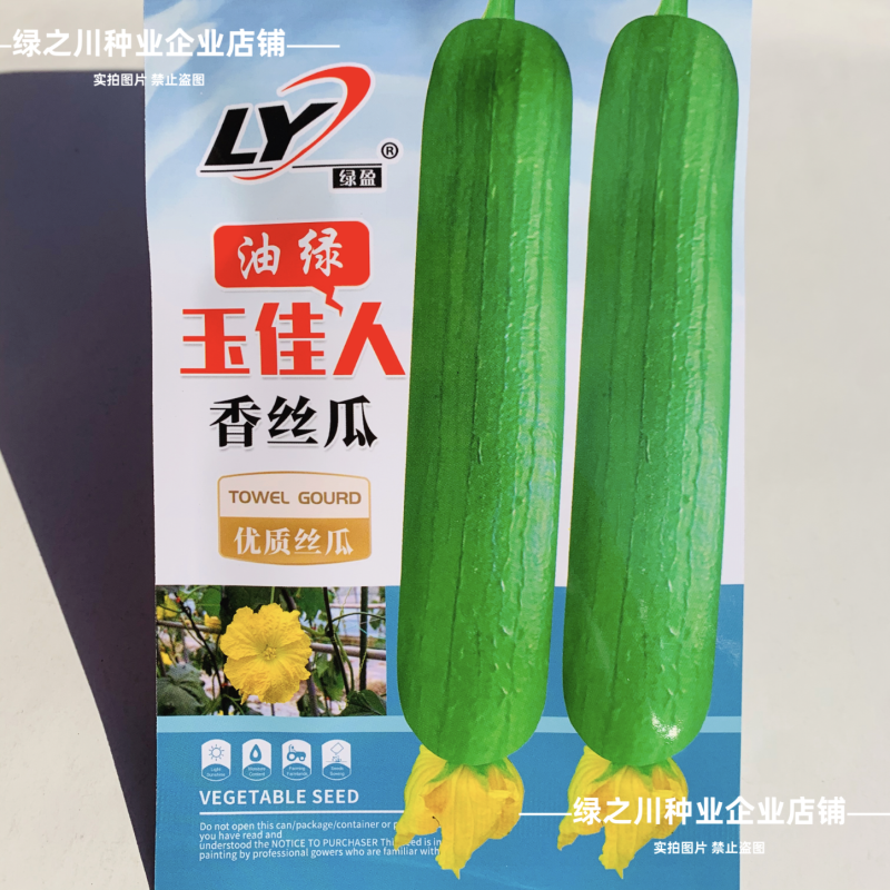 玉佳人丝瓜种子高产短棒油亮香丝瓜种子油绿杂交早熟油皮