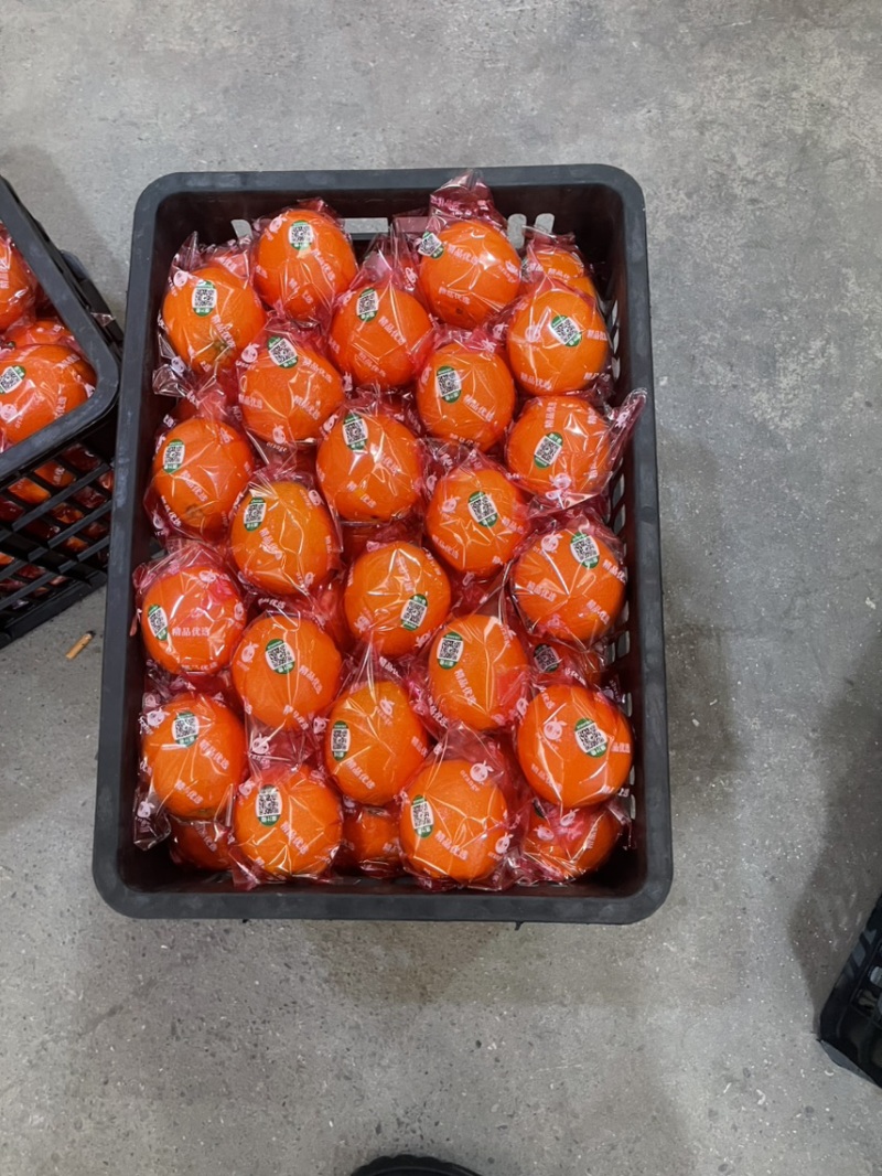 精品纽荷尔，长虹，元红、九月红等基地种植，专业代办代发。
