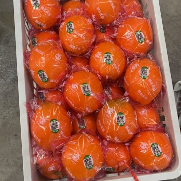 精品纽荷尔，长虹，元红、九月红等基地种植，专业代办代发。