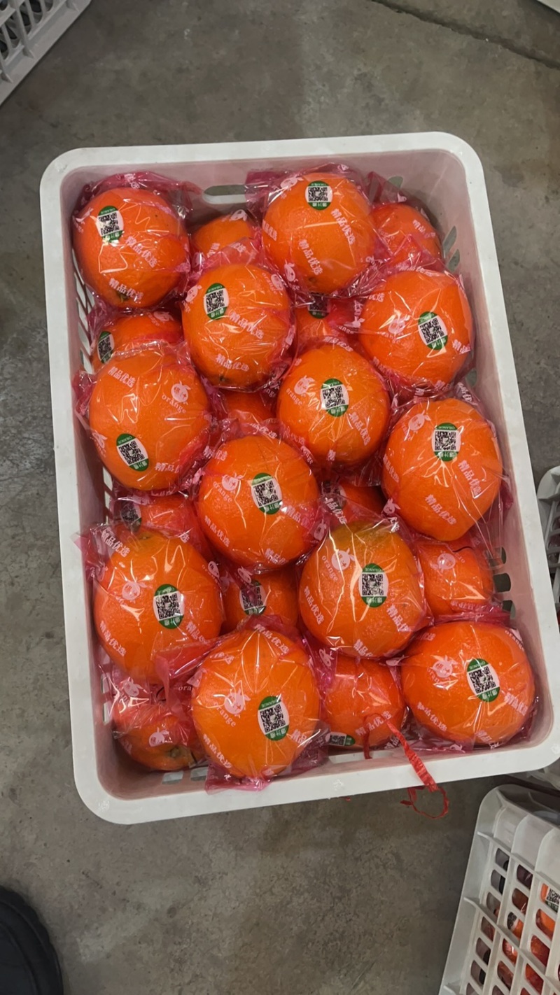 精品纽荷尔，长虹，元红、九月红等基地种植，专业代办代发。