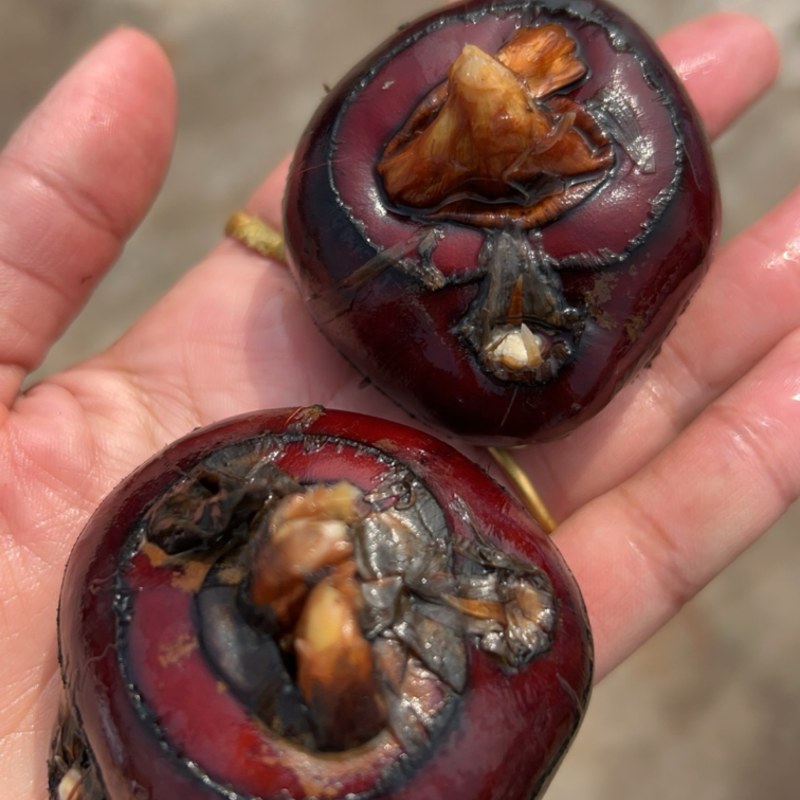 芜湖万亩基地精品马蹄～荸荠大量上市，品质好，口感脆甜……
