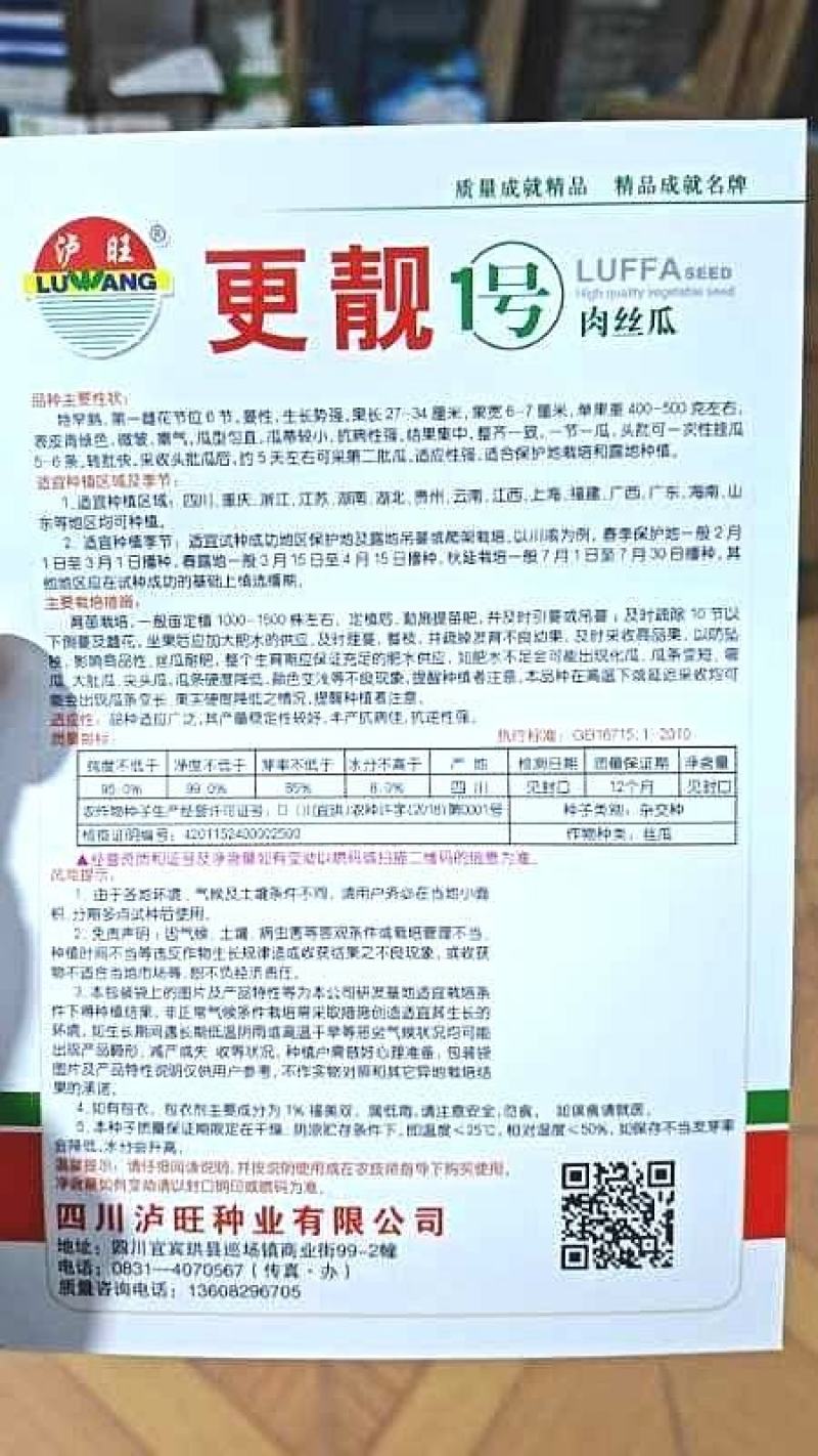 早熟杂交肉丝瓜种子更靓1号结瓜多顺直亮绿品质好