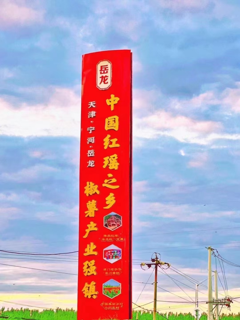 批发各种薯干