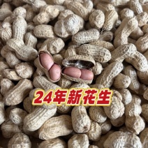 花生干花生农家小籽花生颗粒饱满皮薄味香