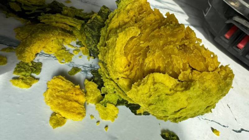 全年供应贝贝南瓜，支持一件代发业务，保证质量，
