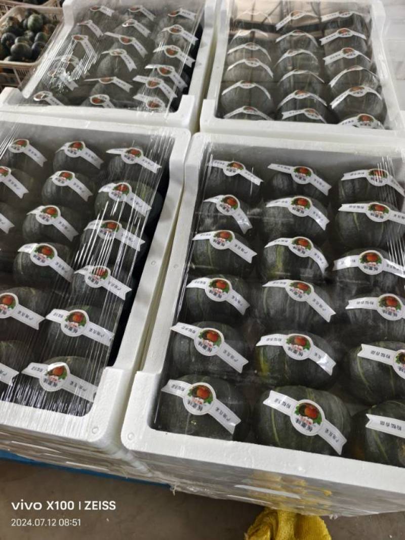 全年供应贝贝南瓜，支持一件代发业务，保证质量，