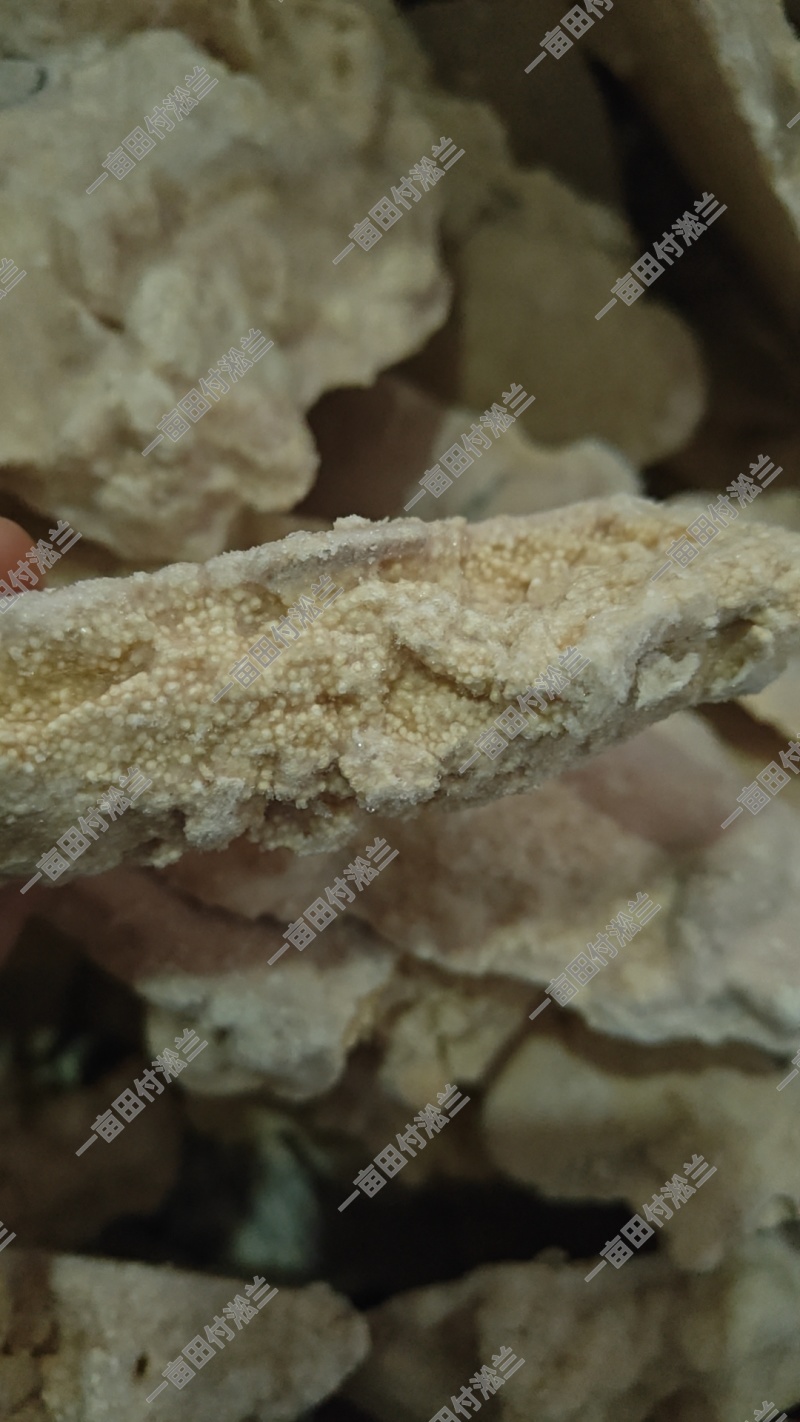 鲽鱼籽半吨促销价格美