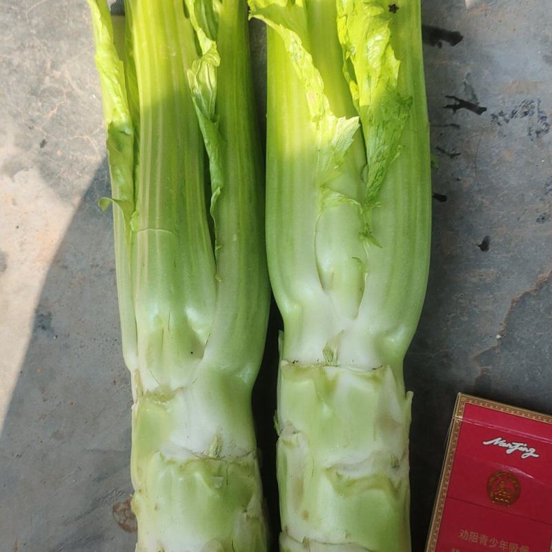 棒菜
