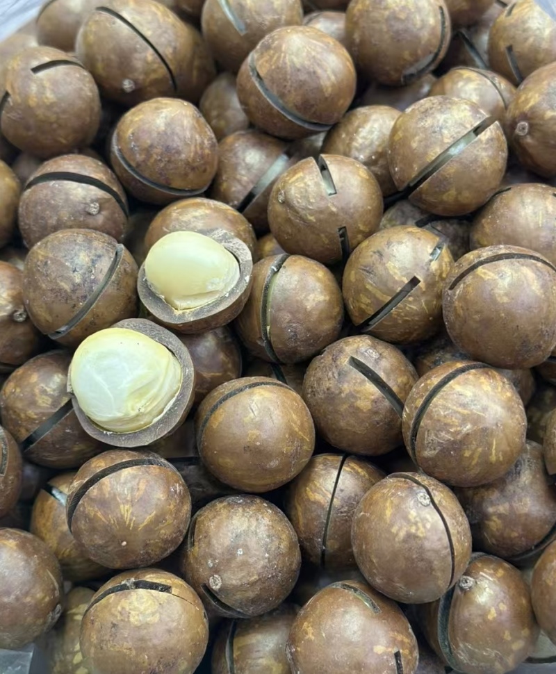 新货薄壳，云南果奶香夏威夷果，皮薄果仁香脆货源充足