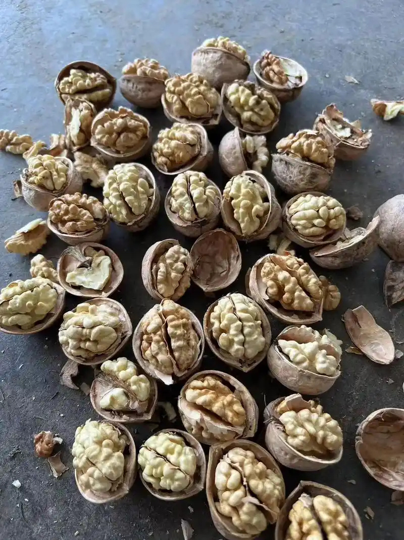【热卖】精品阿克苏185纸皮核桃产地发货质量保证欢迎咨询