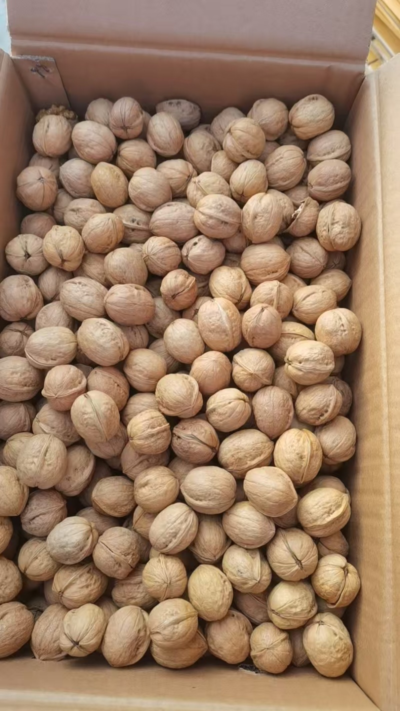 【热卖】精品阿克苏185纸皮核桃产地发货质量保证欢迎咨询