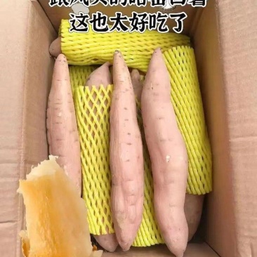 河北！沙地白哈密红薯条形好口感软糯甜可对接电商团批发商！