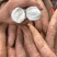 河北！沙地白哈密红薯条形好口感软糯甜可对接电商团批发商！