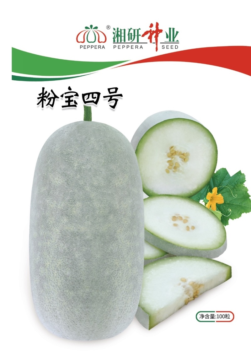 粉宝四号粉皮小冬瓜早熟实心上粉快芽率好！