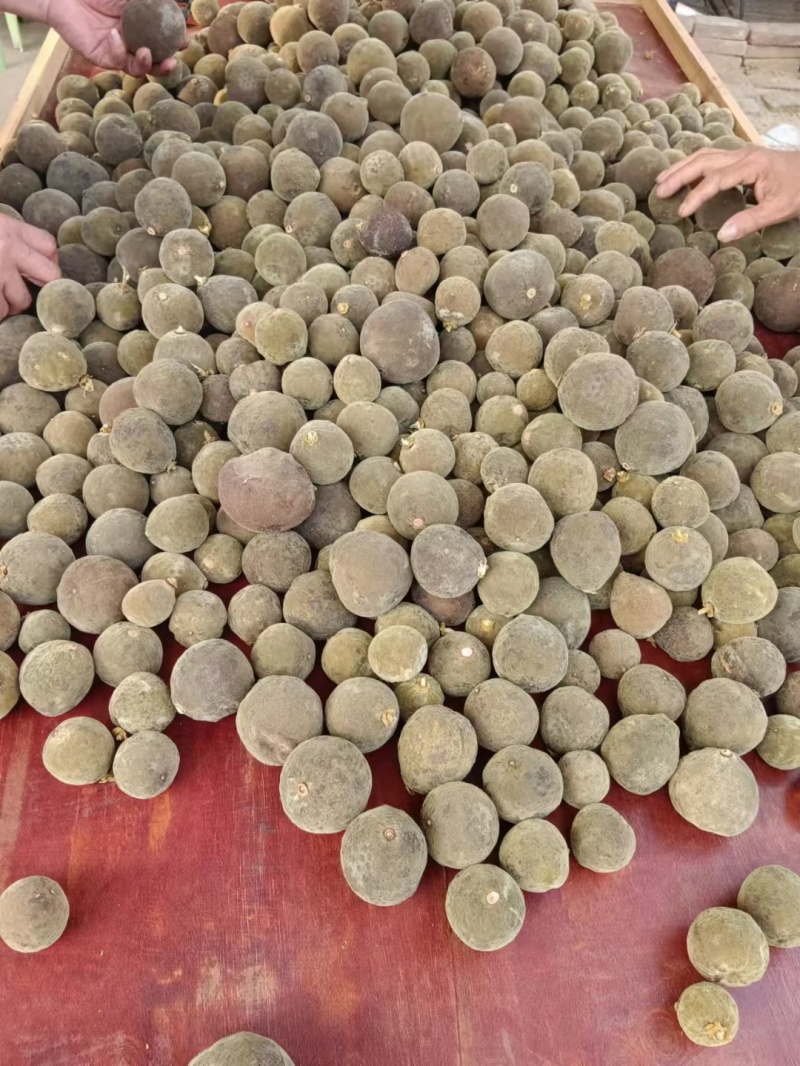 精品正宗化橘红边角料，大量有货品质保证产地直发