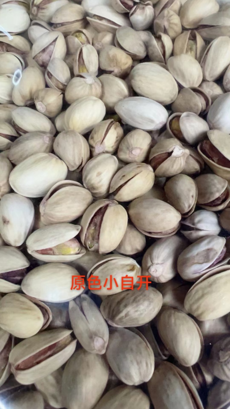 河南郑州开心果原色小自开大自开白色小自开大自开小机开