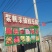 #草莓苗#草莓苗草莓苗杯苗草莓苗批发草莓苗四季草莓苗