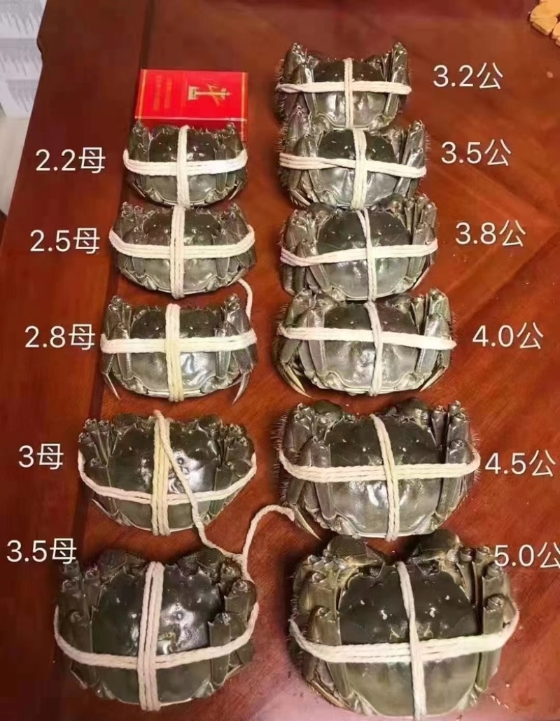 湖北大闸蟹需要的可以直接联系我，保证货的品质杠杠的