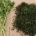 河南特产野腊菜干菜包邮河南腊菜干野油菜干菜农家野菜干新鲜