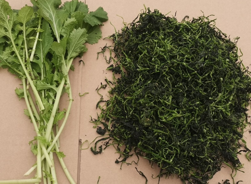 河南特产野腊菜干菜包邮河南腊菜干野油菜干菜农家野菜干新鲜