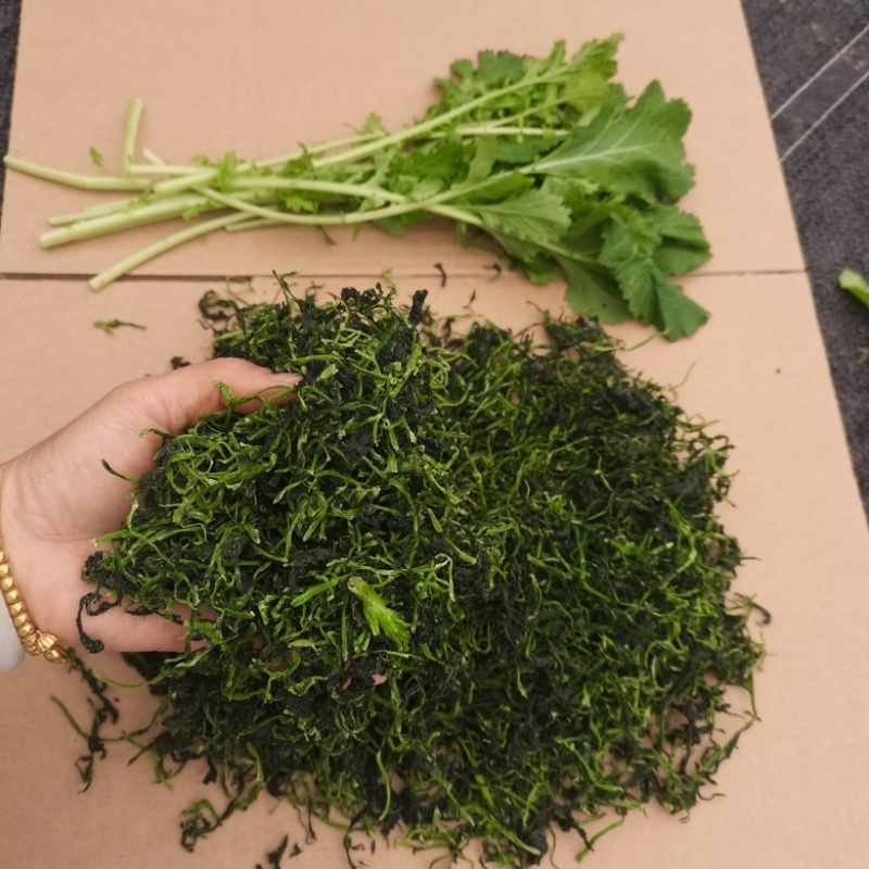 河南特产野腊菜干菜包邮河南腊菜干野油菜干菜农家野菜干新鲜