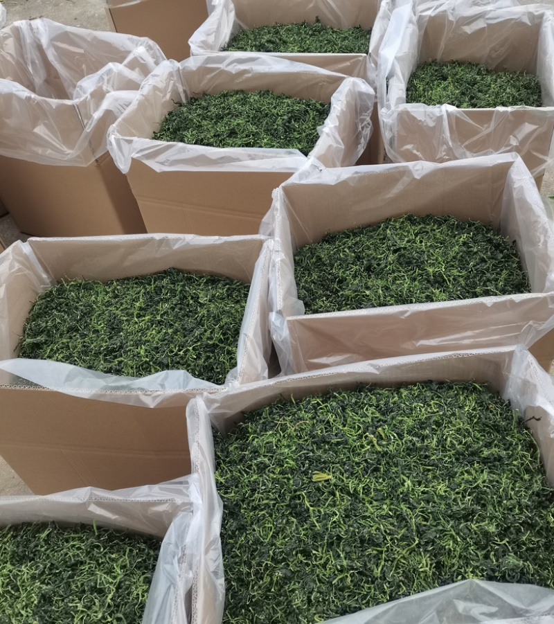 河南特产野腊菜干菜包邮河南腊菜干野油菜干菜农家野菜干新鲜