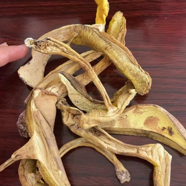 优质牛肝菌一手货源质量保证现货秒发价格优惠