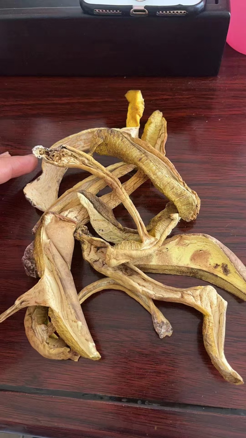 优质牛肝菌一手货源质量保证现货秒发价格优惠