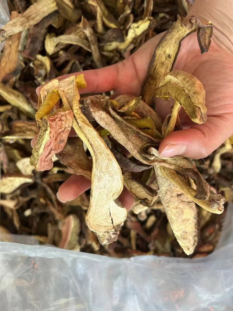 优质牛肝菌一手货源质量保证现货秒发价格优惠